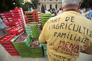 Vente à bas prix de fruits et légumes en banlieue parisienne pour alerter sur la crise