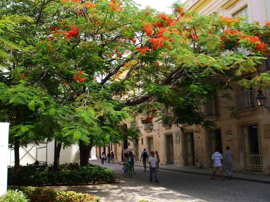 Ballade à la Havane: la Habana Vieja et le Castillo de San Carlos de la Cabana
