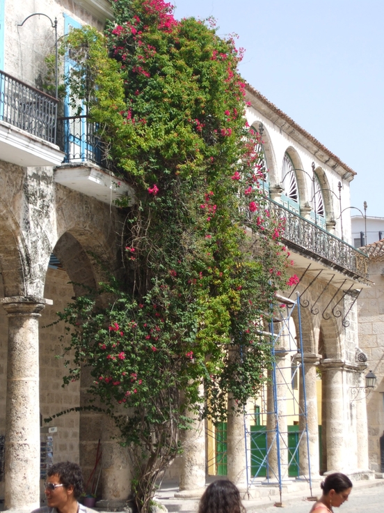 Ballade à la Havane: la Habana Vieja et le Castillo de San Carlos de la Cabana