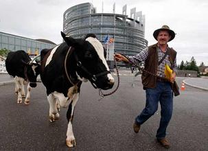 Grève du Lait: "la dégradation" de la situation - allons nous laisser crever nos agriculteurs ? Grève du Lait: "la dégradation" de la situation - allons nous laisser crever nos agriculteurs ?