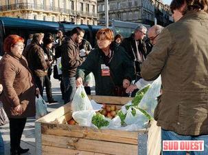 Pommes, salades et kiwis : distribution gratuite à Bordeaux