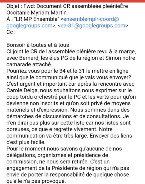 La grossière et insultante sortie de Jean-Luc Mélenchon est une manipulation pour cacher une 