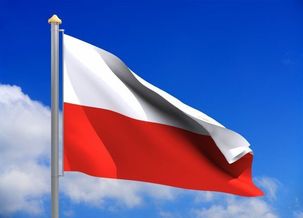 Pologne : L'anticommunisme ne passera pas ! Pologne : L'anticommunisme ne passera pas !