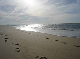Université d'été du PCF : Les communistes à la croisée des chemins Université d'été du PCF : Les communistes à la croisée des chemins