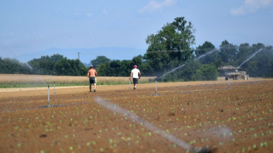 Paca : la CGT dénonce “l'esclavage moderne” des travailleurs agricoles détachés