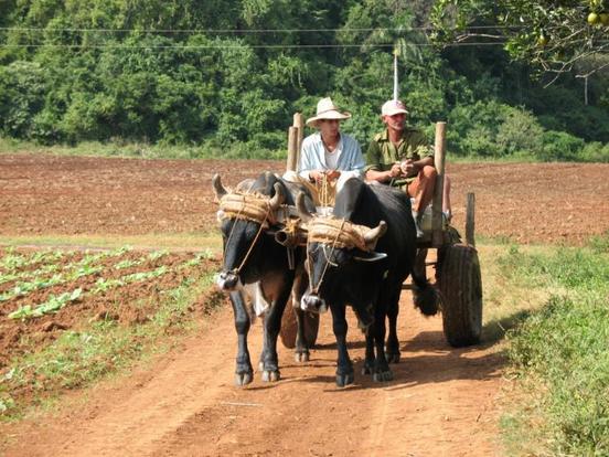 Cuba: réduction d'un demi-million d'emplois dans le secteur public