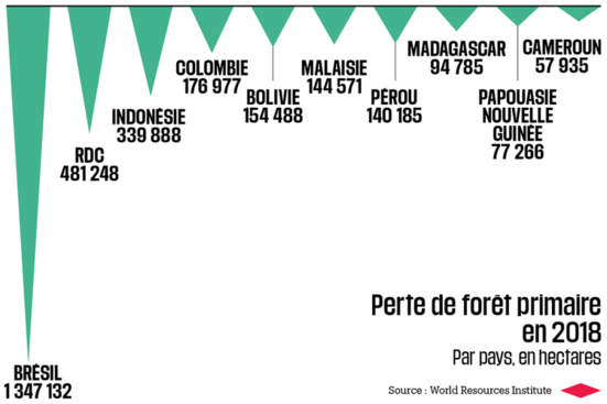Le capitalisme a ravagé 12 millions d’hectares de forêts tropicales en 2018