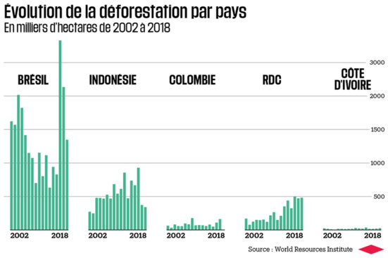 Le capitalisme a ravagé 12 millions d’hectares de forêts tropicales en 2018
