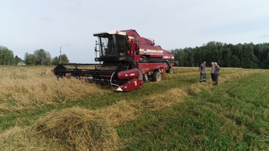 Le Kolkhoze "Zarya", un îlot socialiste dans la région de Pskov Le Kolkhoze "Zarya", un îlot socialiste dans la région de Pskov