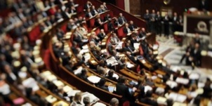 L'Assemblée vote le texte sur la "sécurisation de l'emploi" L'Assemblée vote le texte sur la "sécurisation de l'emploi"