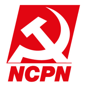 Pays-Bas : En Frise, les communistes manquent de justesse deux sièges aux élections communales