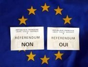 Référendum : tromperie et vérité