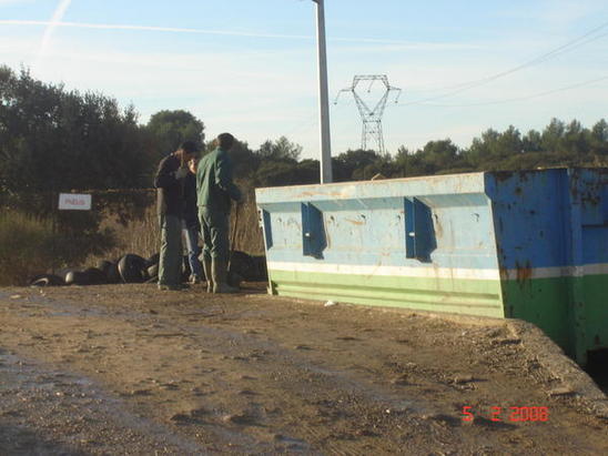 Les discours politiciens et les actes