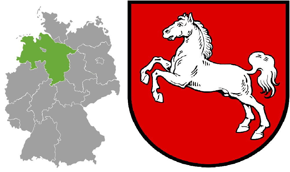Elections locales en Basse-Saxe, l'AfD fait son entrée à l'ouest