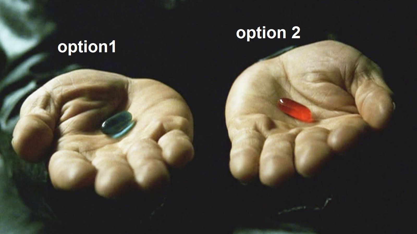 Faire le choix de l'avenir en votant Option 2 Faire le choix de l'avenir en votant Option 2