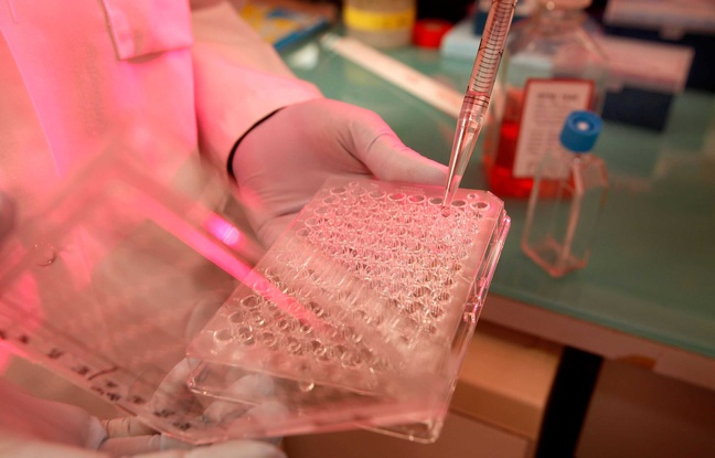 Vaccin contre le Sida: A Sophia Antipolis, «on n’a jamais été si proche du but, mais aujourd’hui les recherches sont coupées»