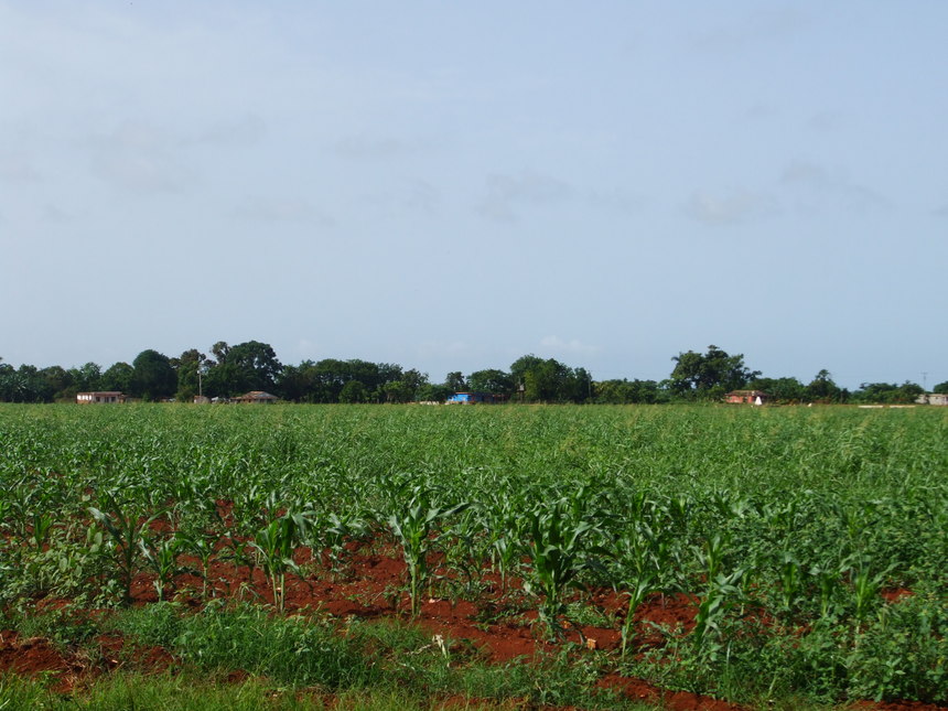 Cuba: Tenemos y tendremos SOCIALISMO (partie 1)