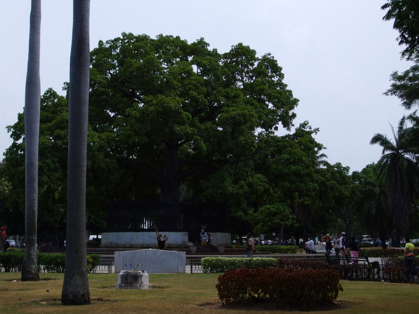 Ballade à la Havane : Le capitole et ses alentours (partie 3)