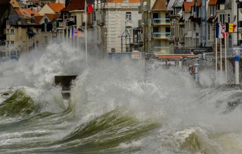 Le capitalisme est incompatible avec la survie de la planète