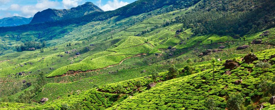 Le gouvernement communiste du Kerala teste l'empreinte zéro carbone dans un village