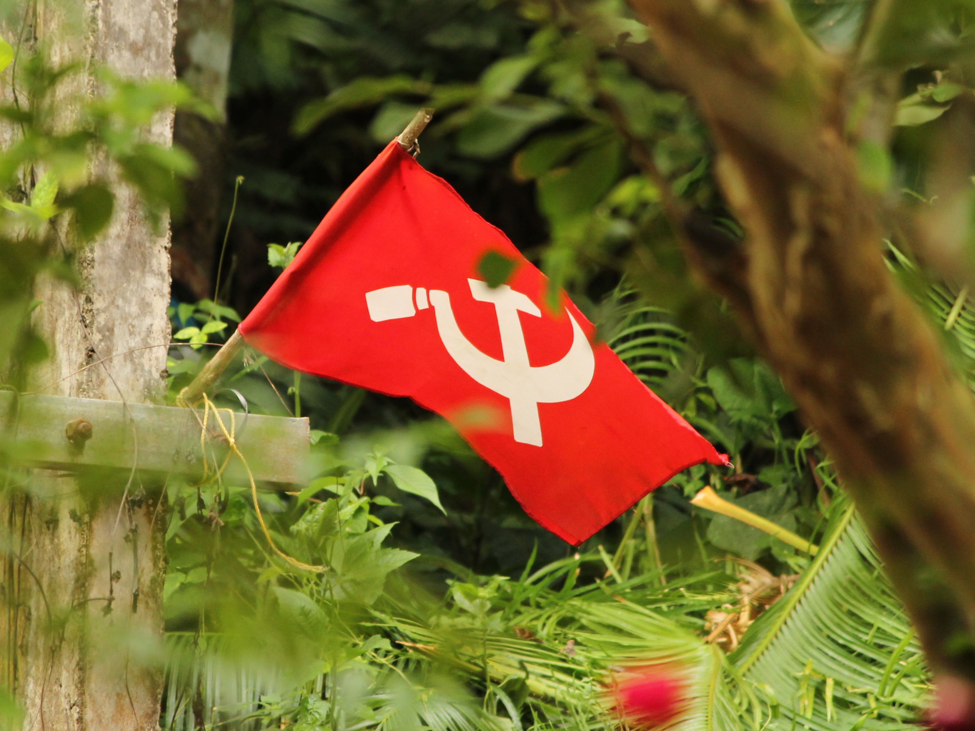 Kerala : Le Left Democratic Front remporte 2 des 3 sièges de la Rajya Sabha (Sénat)
