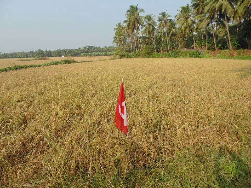Le CPI(M) développe l'agriculture biologique au Kerala