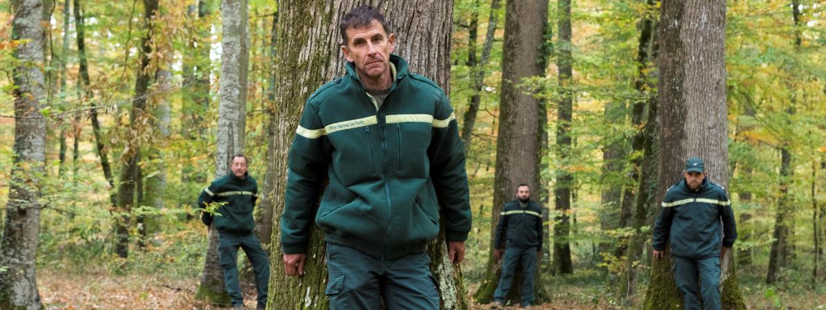 "Ce n'est pas une usine à bois" : des forestiers manifestent dans l'Allier contre "l'industrialisation" de la forêt