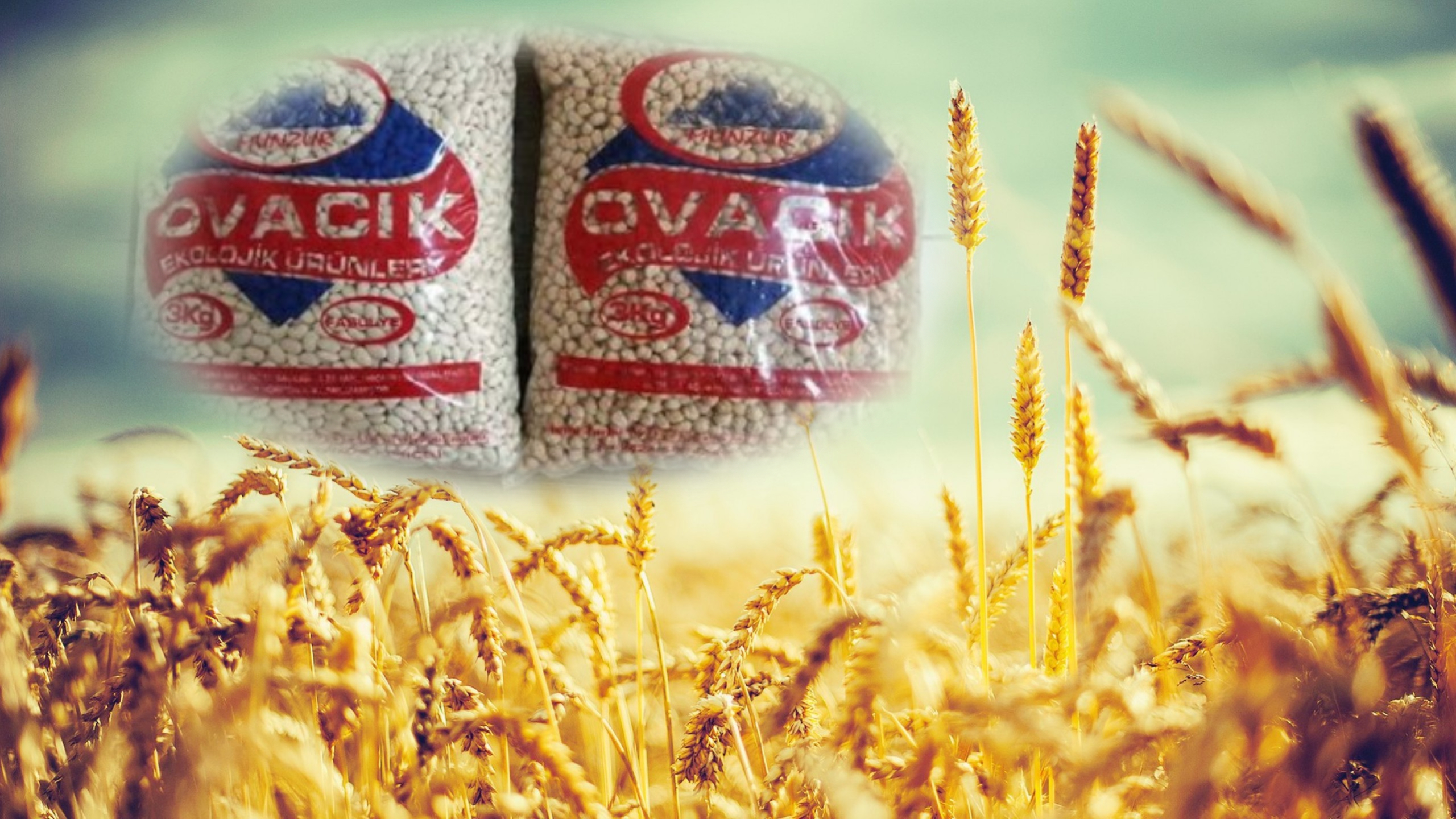 Ovacık Doğal, le succès d'une épicerie "communiste" turque Ovacık Doğal, le succès d'une épicerie "communiste" turque