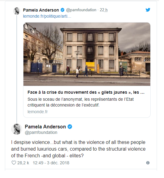 Sur les gilets jaunes, Pamela Anderson dénonce la "violence des élites" Sur les gilets jaunes, Pamela Anderson dénonce la "violence des élites"