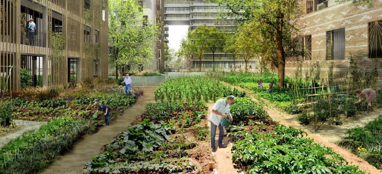 Le Val-de-Marne (dirigé par le PCF) engagé pour développer l’agriculture, le bio et les circuits courts