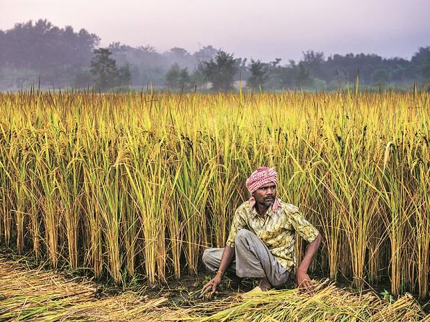 Le Kerala communiste vient au secours des agriculteurs en difficulté du nord de l'Inde