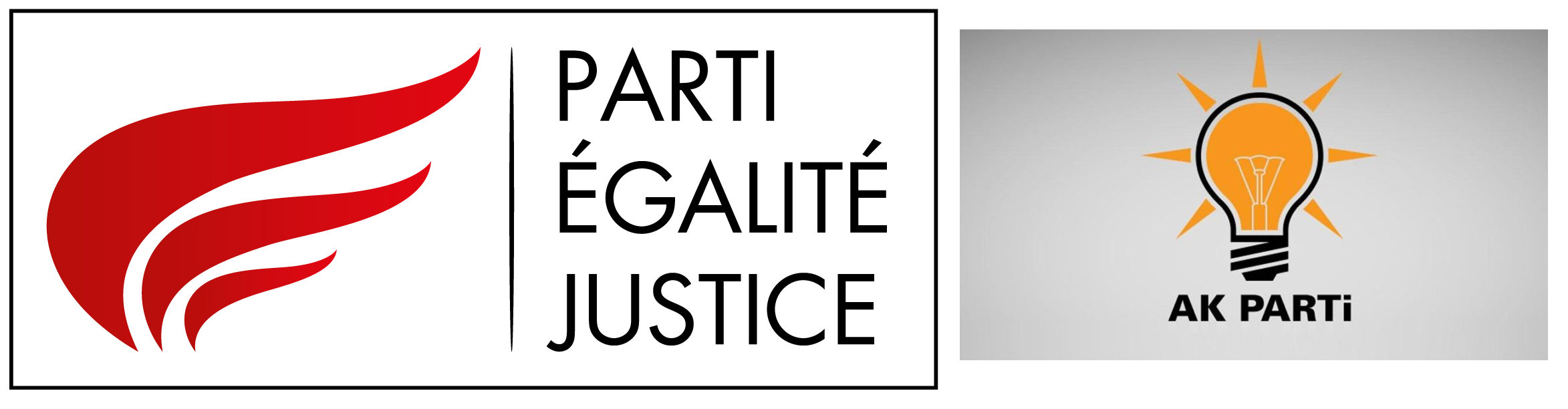 Elections européennes : La nouvelle tentative d'ingérence d'Erdogan (PCF)