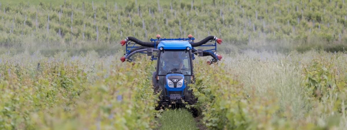 Gironde : une ex-ouvrière viticole atteinte de Parkinson reconnue comme victime des pesticides Gironde : une ex-ouvrière viticole atteinte de Parkinson reconnue comme victime des pesticides