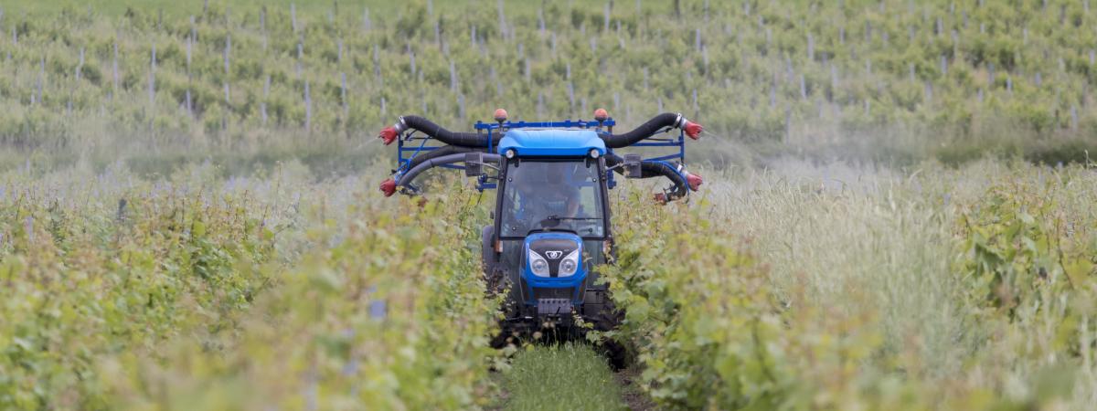 Gironde : une ex-ouvrière viticole atteinte de Parkinson reconnue comme victime des pesticides