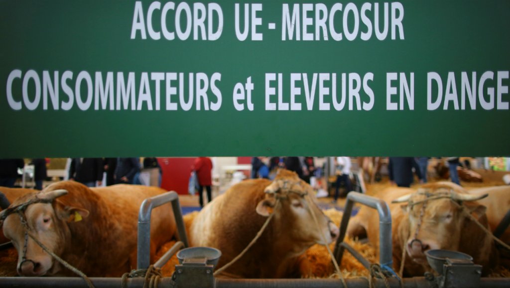 Les syndicats paysans et d'agriculteurs dénoncent l'accord UE-Mercosur
