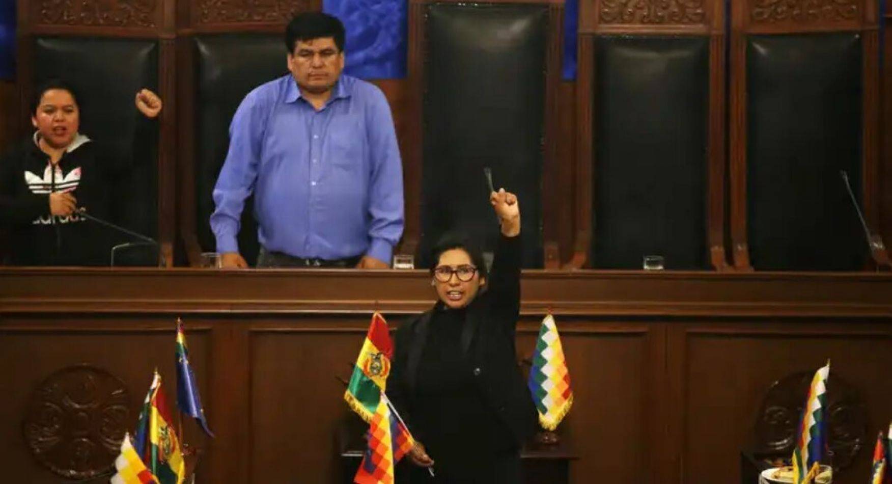 Monica Eva Copa (MAS) élue Présidente du sénat bolivien