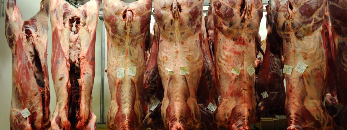 "La plupart des salariés partent complètement cassés avant l'âge" : dans cet abattoir, on se prépare aussi à la grève "La plupart des salariés partent complètement cassés avant l'âge" : dans cet abattoir, on se prépare aussi à la grève