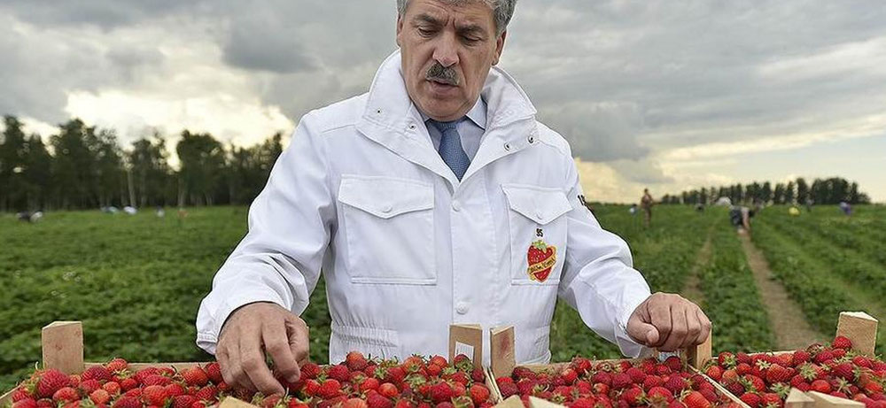 Les autorités russes veulent asphyxier économiquement le Sovkhoze Lénine dirigé par Pavel Grudinin