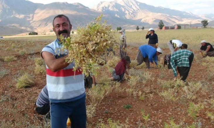 Le maire communiste de Dêrsim, Fatih Mehmet Maçoğlu (TKP), part en guerre contre l'industrie minière Le maire communiste de Dêrsim, Fatih Mehmet Maçoğlu (TKP), part en guerre contre l'industrie minière