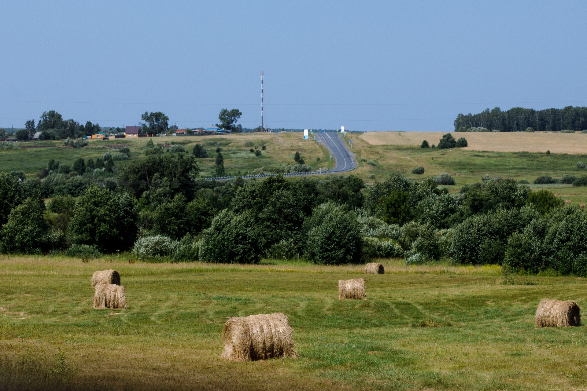 "Peut-être que ces vaches vivent mieux que vous" bienvenue au Kolkhoze Zarya "Peut-être que ces vaches vivent mieux que vous" bienvenue au Kolkhoze Zarya