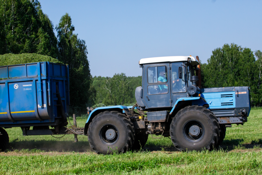 "Peut-être que ces vaches vivent mieux que vous" bienvenue au Kolkhoze Zarya "Peut-être que ces vaches vivent mieux que vous" bienvenue au Kolkhoze Zarya