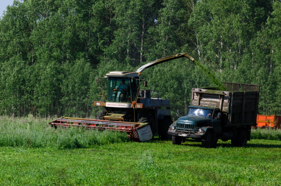 "Peut-être que ces vaches vivent mieux que vous" bienvenue au Kolkhoze Zarya "Peut-être que ces vaches vivent mieux que vous" bienvenue au Kolkhoze Zarya