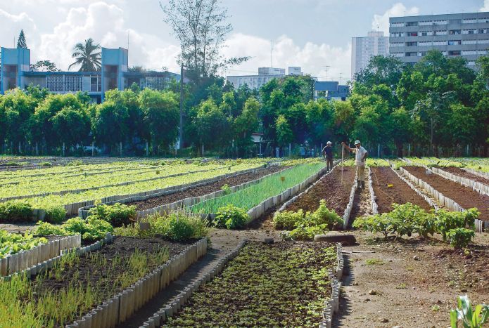 Cuba: socialisme, science et agriculture