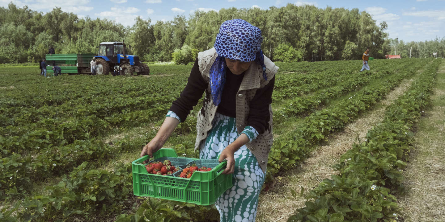 Les entreprises populaires, collectives et d'État sont l'avenir de la Russie pour le Parti communiste