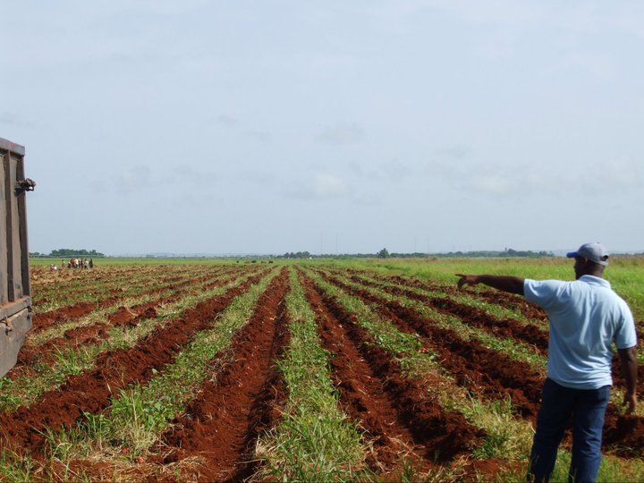Cuba met en place des alternatives pour son développement agroalimentaire