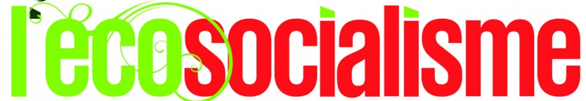 Le MJS écosocialiste ? Rien de révolutionnaire à l'horizon 