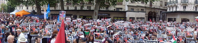 Plus de 6 000 personnes à Lyon expriment leur solidarité pour GAZA
