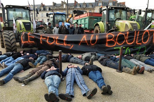 Crise de l'élevage : « De nouvelles annonces au parfum de réchauffé » (PCF)