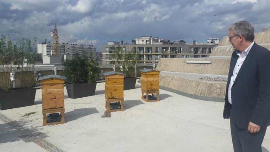 Trois ruches installées sur le toit du Parti communiste à Paris