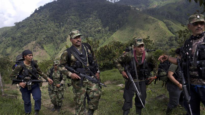 Colombie : une communiste française dans les rangs de la guérilla des FARC-EP